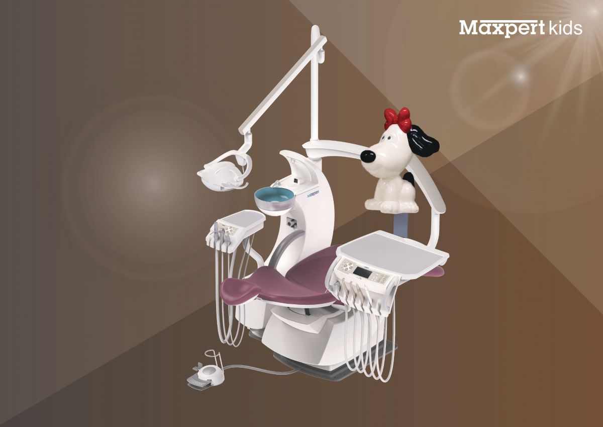 Maxpert_Eng_16p(202520)_1.jpg